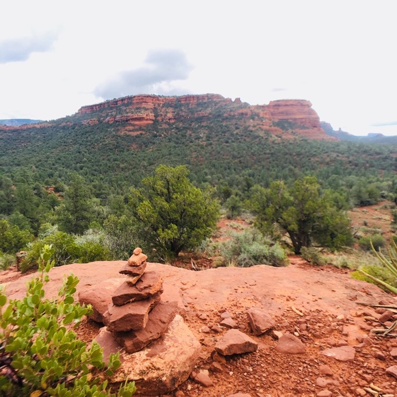 Meet your Posher, Dee - Picture 1 of 1